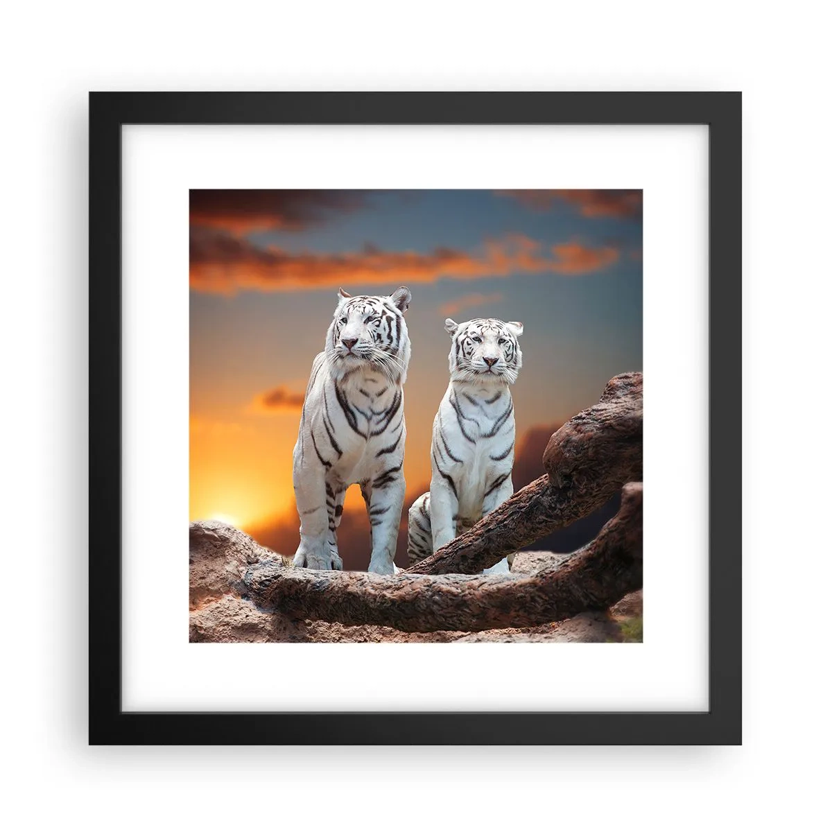 Plakát v černém rámu - Úplně jako v Narnii - 30x30 cm