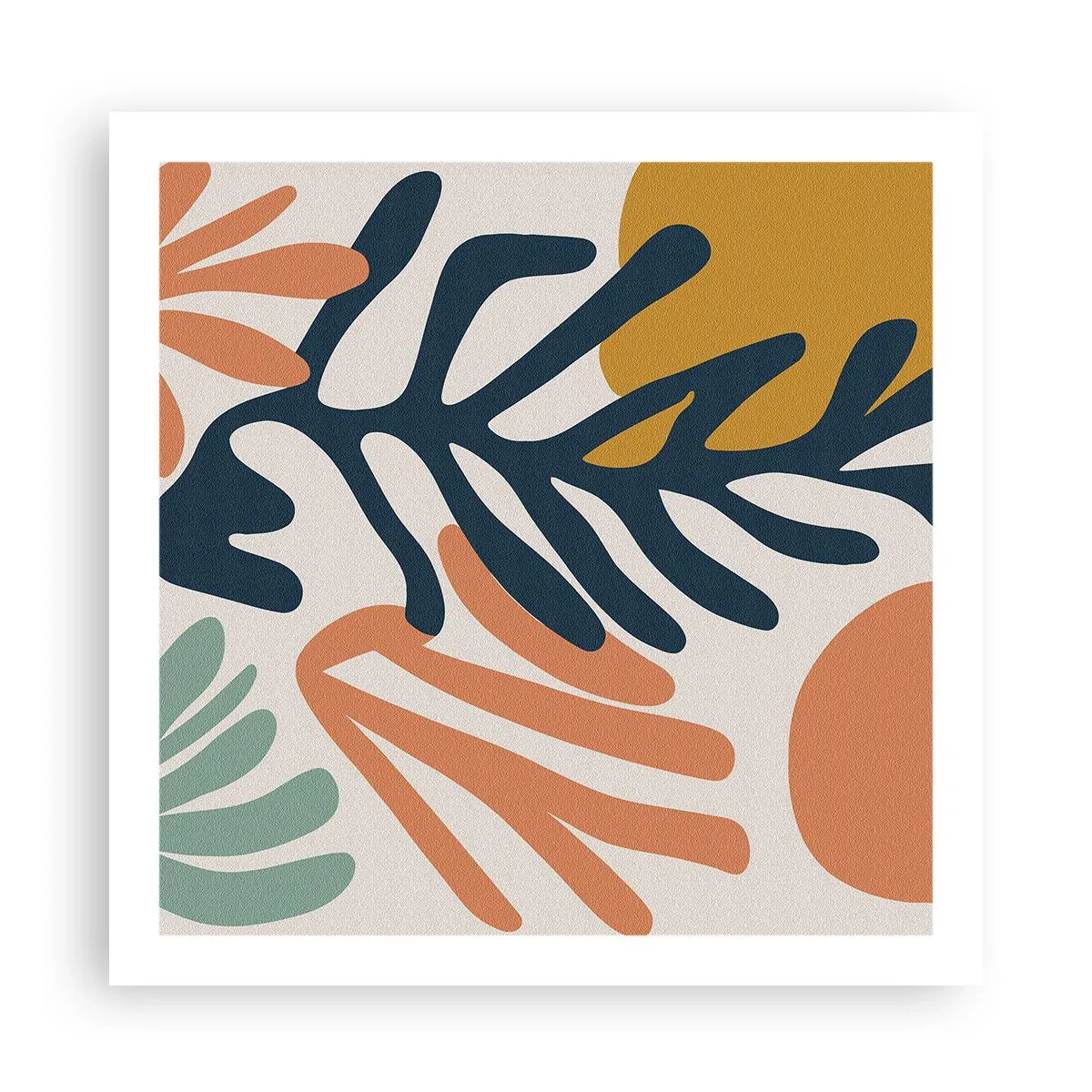 Plakát - Korálová moře - 60x60 cm