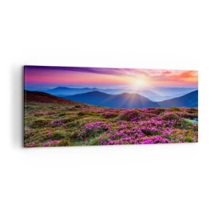 Obraz na plátně - Zavoněly svěží pupeny bylinek z obilných polí - 100x40 cm