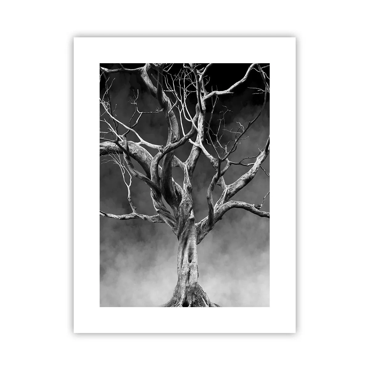 Plakát - Původní a svaté - 30x40 cm