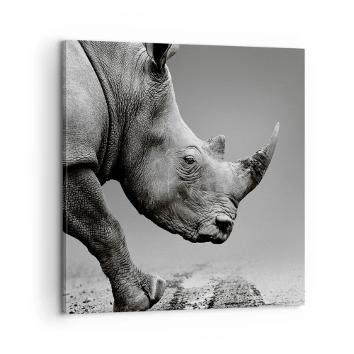 Obraz na plátně - Nezastavitelná síla - 60x60 cm