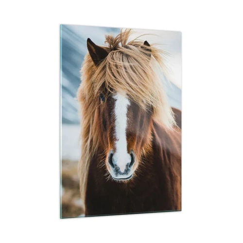 Obraz na skle - Cítíš svobodu? - 50x70 cm