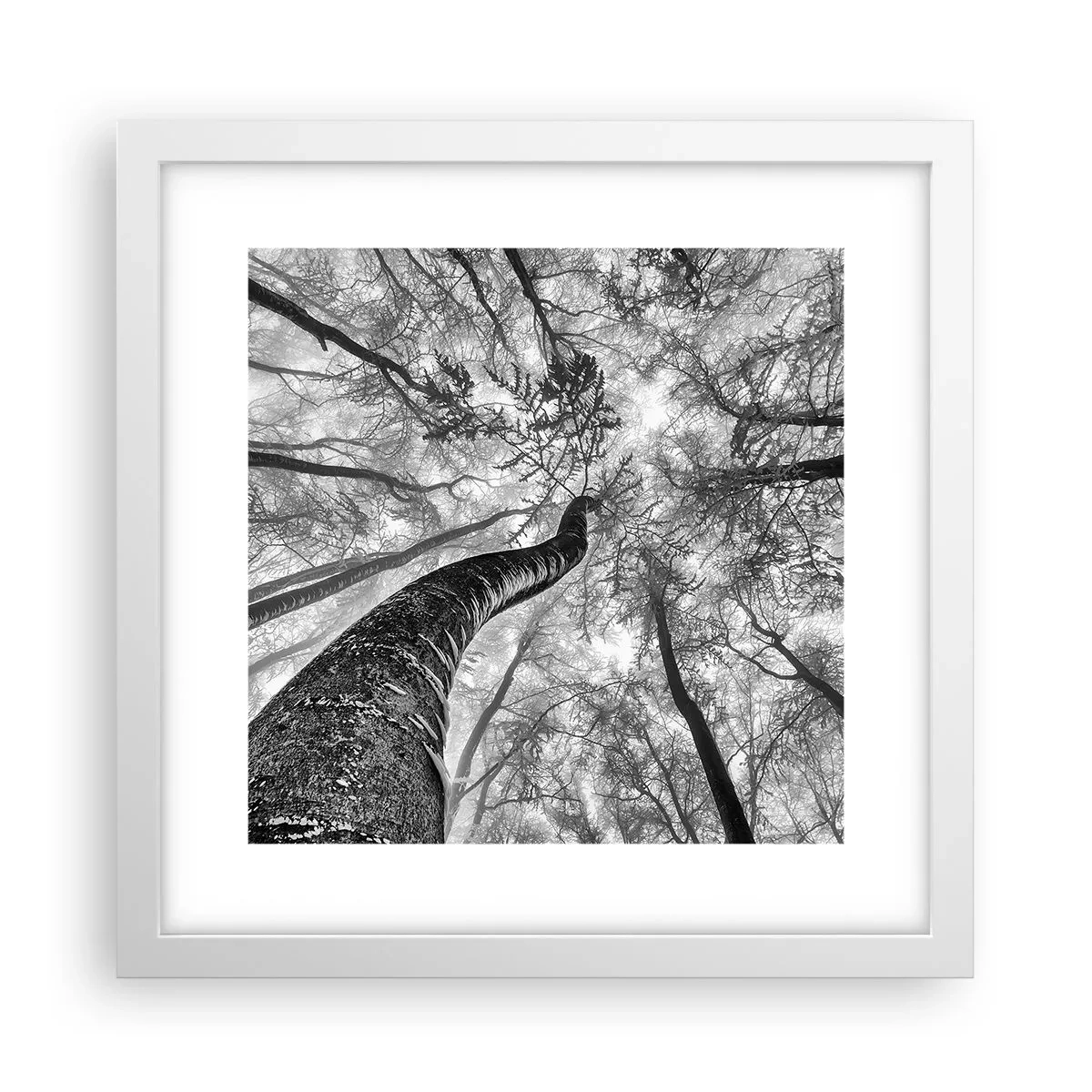 Plakát v bílém rámu - Závod ke světlu - 30x30 cm