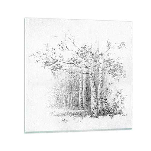 Obraz na skle - Světlo březového lesa - 30x30 cm