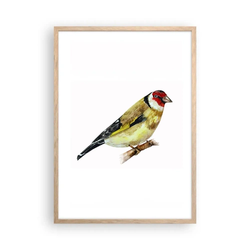 Plakát v rámu světlý dub - Ptáčí portrét - 50x70 cm
