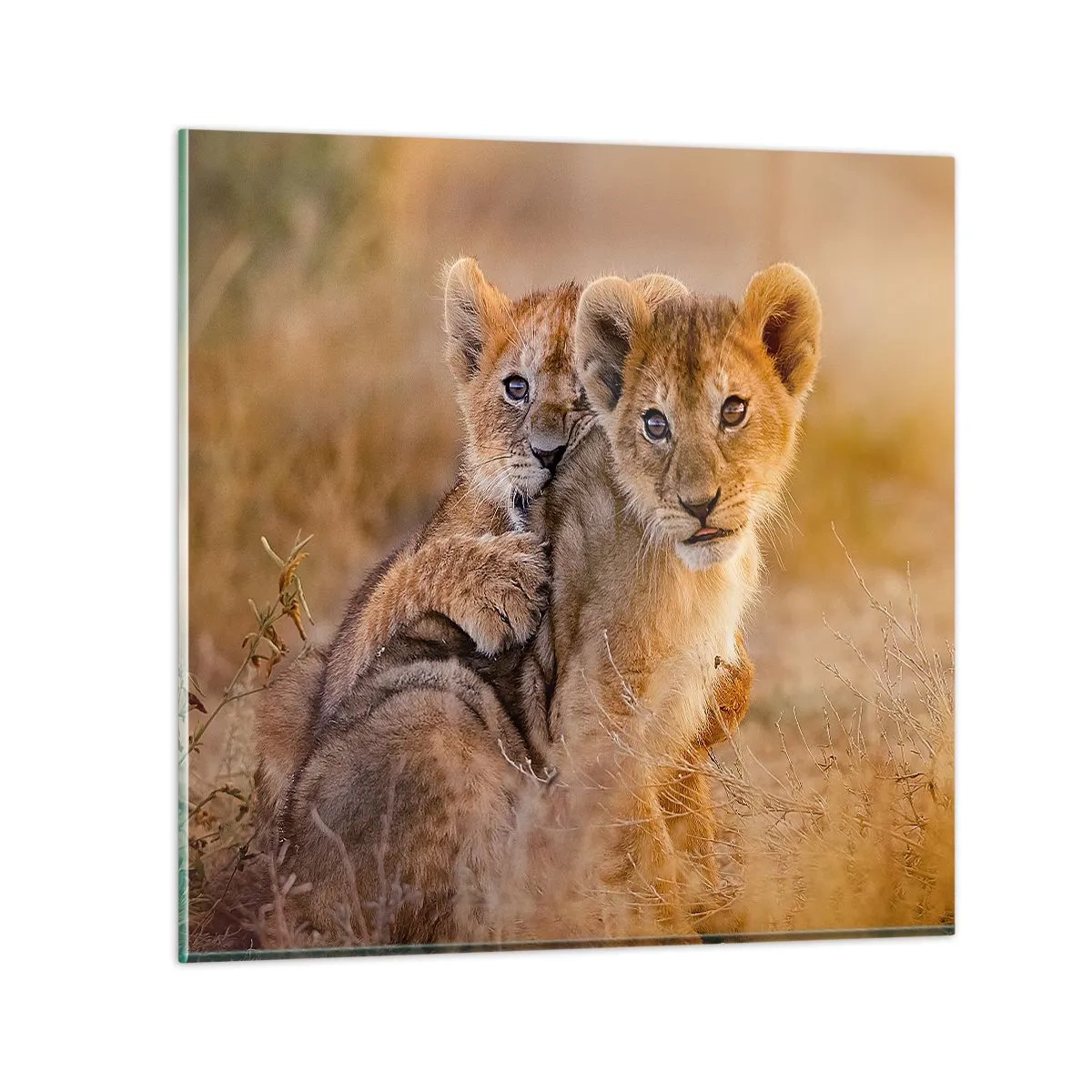 Obraz na skle - Nevyrušovat! Hrajme si - 70x70 cm