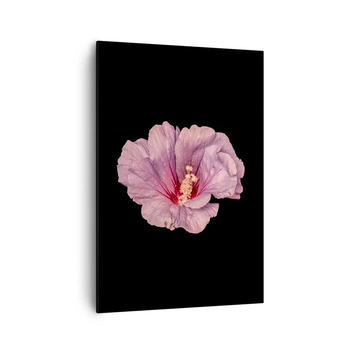 Obraz na plátně - Přímo do srdce - 70x100 cm