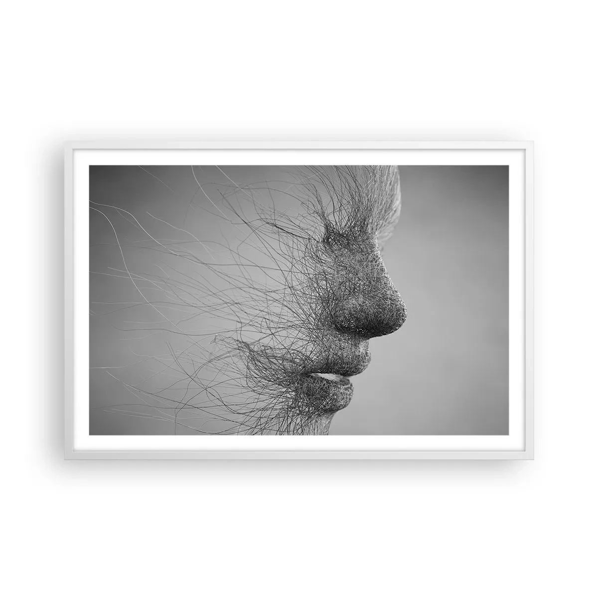 Plakát v bílém rámu - Duch větru - 91x61 cm