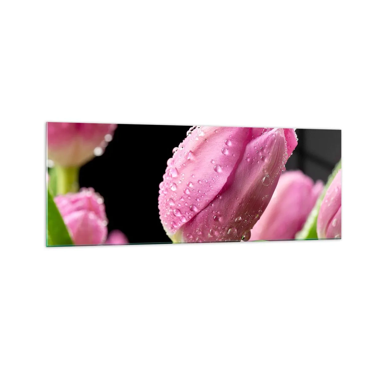 Obraz na skle - Liliový sen v rose - 140x50 cm