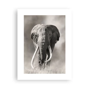 Plakát - Africký patriarcha - 30x40 cm