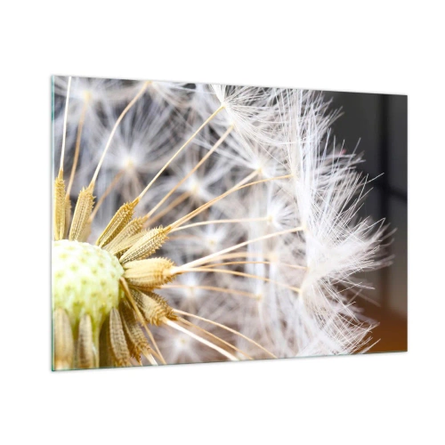 Obraz na skle - Těsně před odletem - 100x70 cm