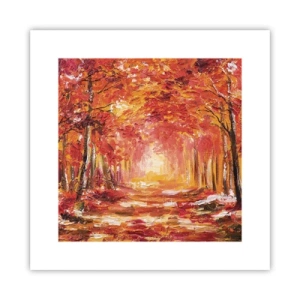 Plakát - Měděný les - 30x30 cm