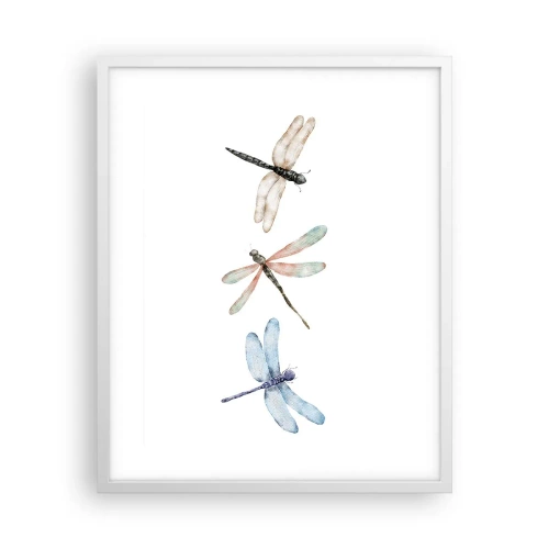 Plakát v bílém rámu - Beztížné vážky - 40x50 cm