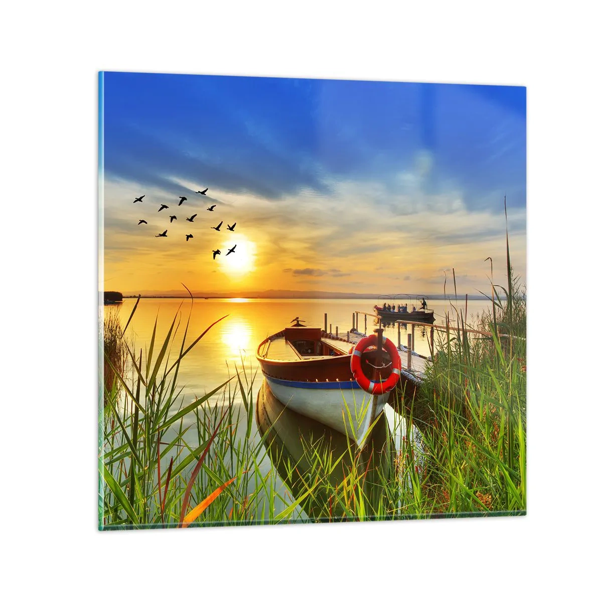 Obraz na skle - Kormoráni už odlétají - 70x70 cm