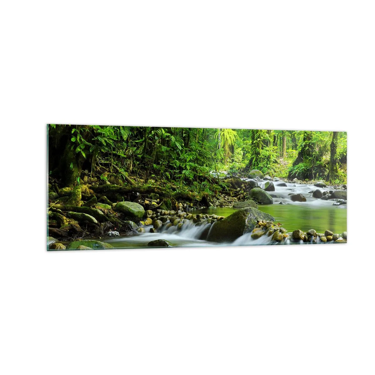 Obraz na skle - Plout mořem zeleně - 140x50 cm