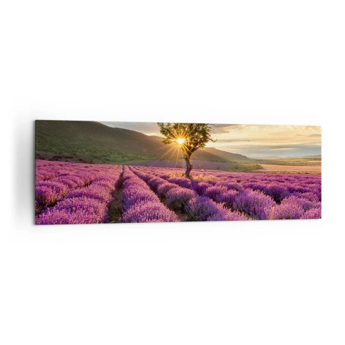 Obraz na plátně - Aroma v barvě lila - 160x50 cm