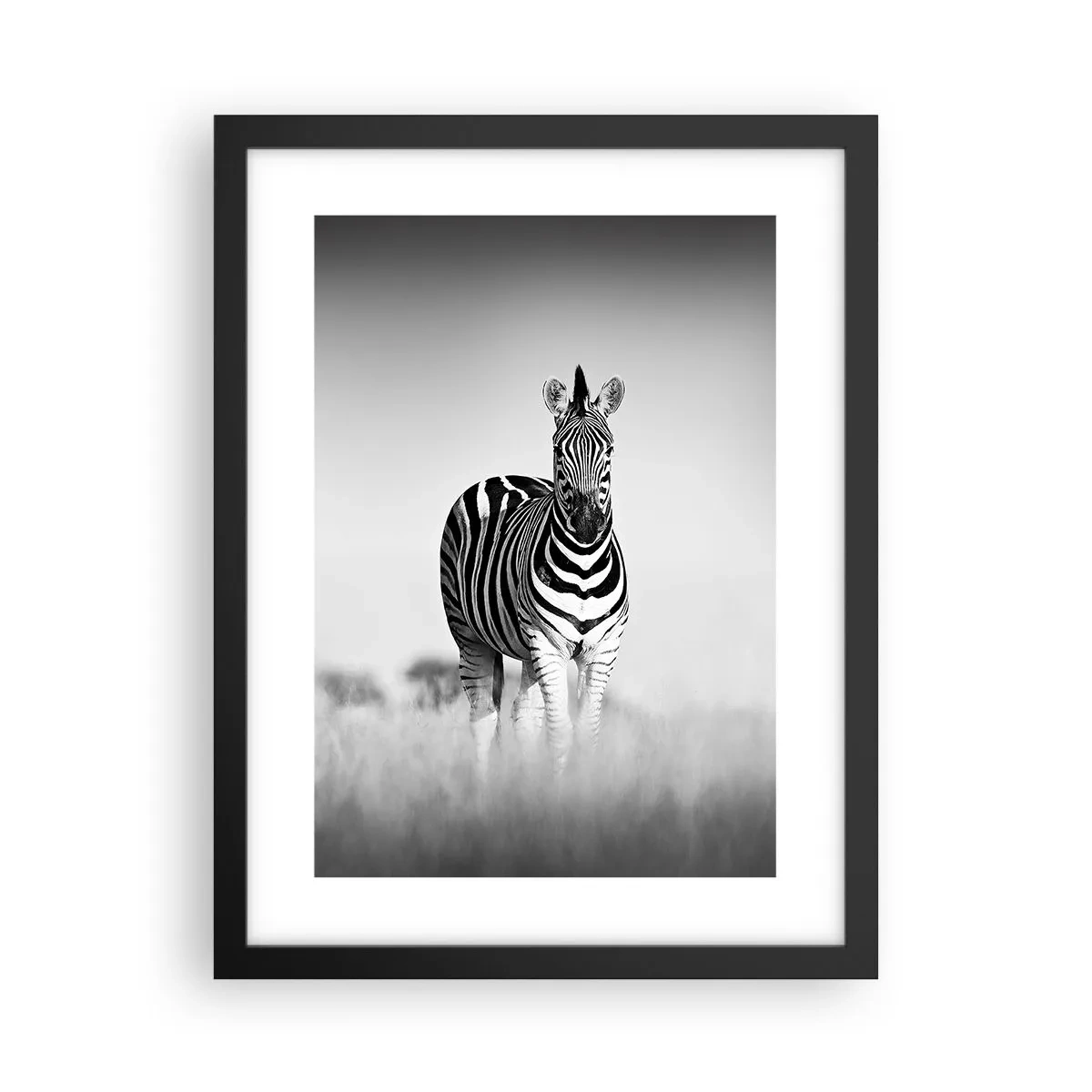 Plakát v černém rámu - A přesto je svět černo-bílý - 30x40 cm