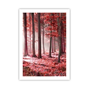 Plakát - Červená je stejně krásná - 50x70 cm