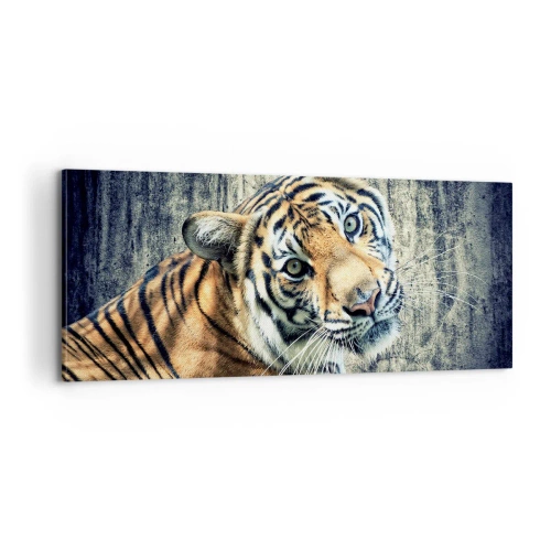 Obraz na plátně - Portrét v pramenech světla - 100x40 cm