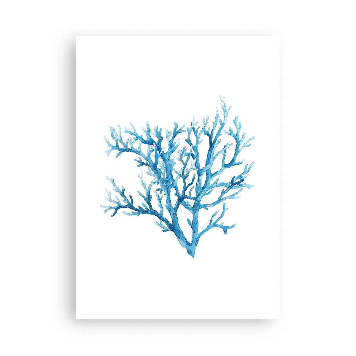 Plakát - Mořský filigrán - 50x70 cm