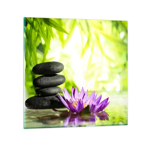 Obraz na skle - V bambusovém hájku - 40x40 cm