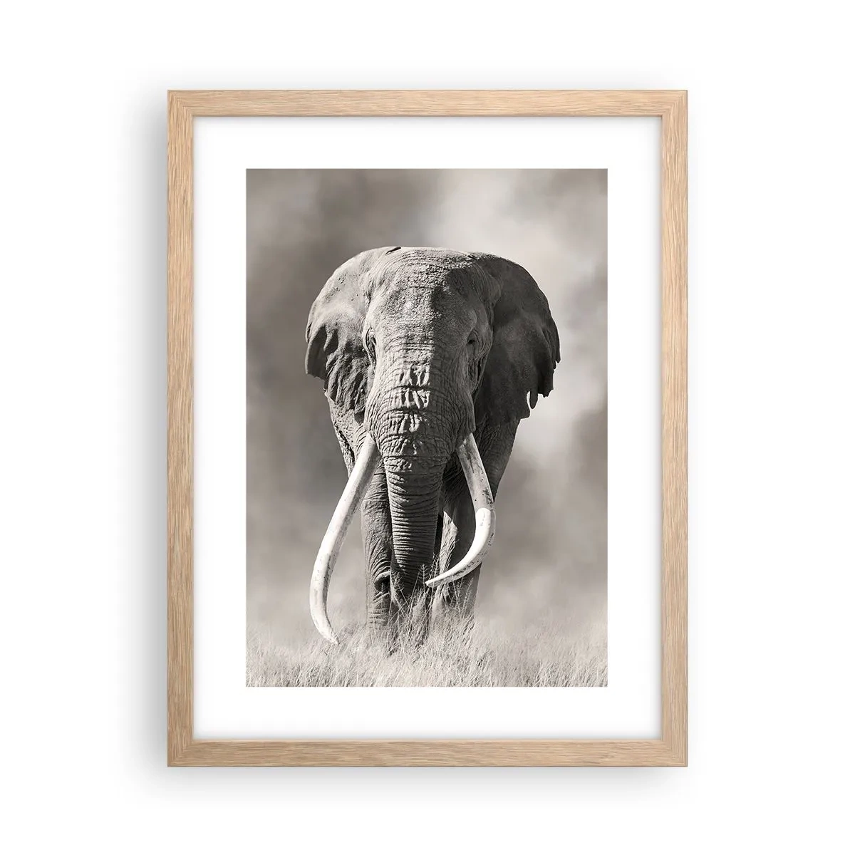 Plakát v rámu světlý dub - Africký patriarcha - 30x40 cm