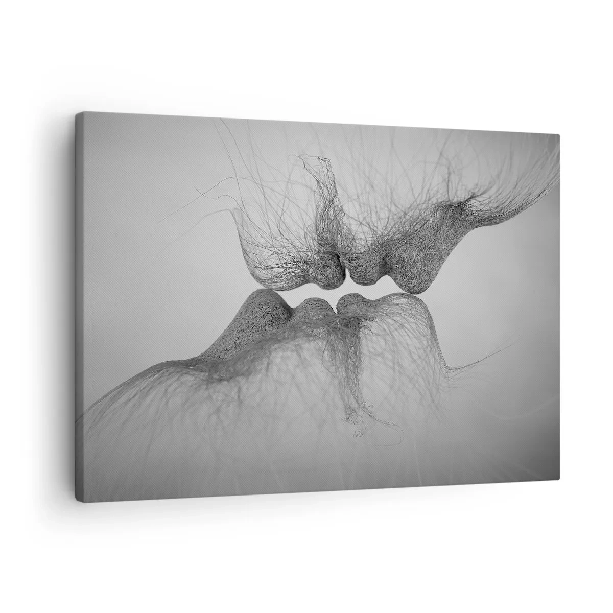Obraz na plátně - Polibek větru - 70x50 cm