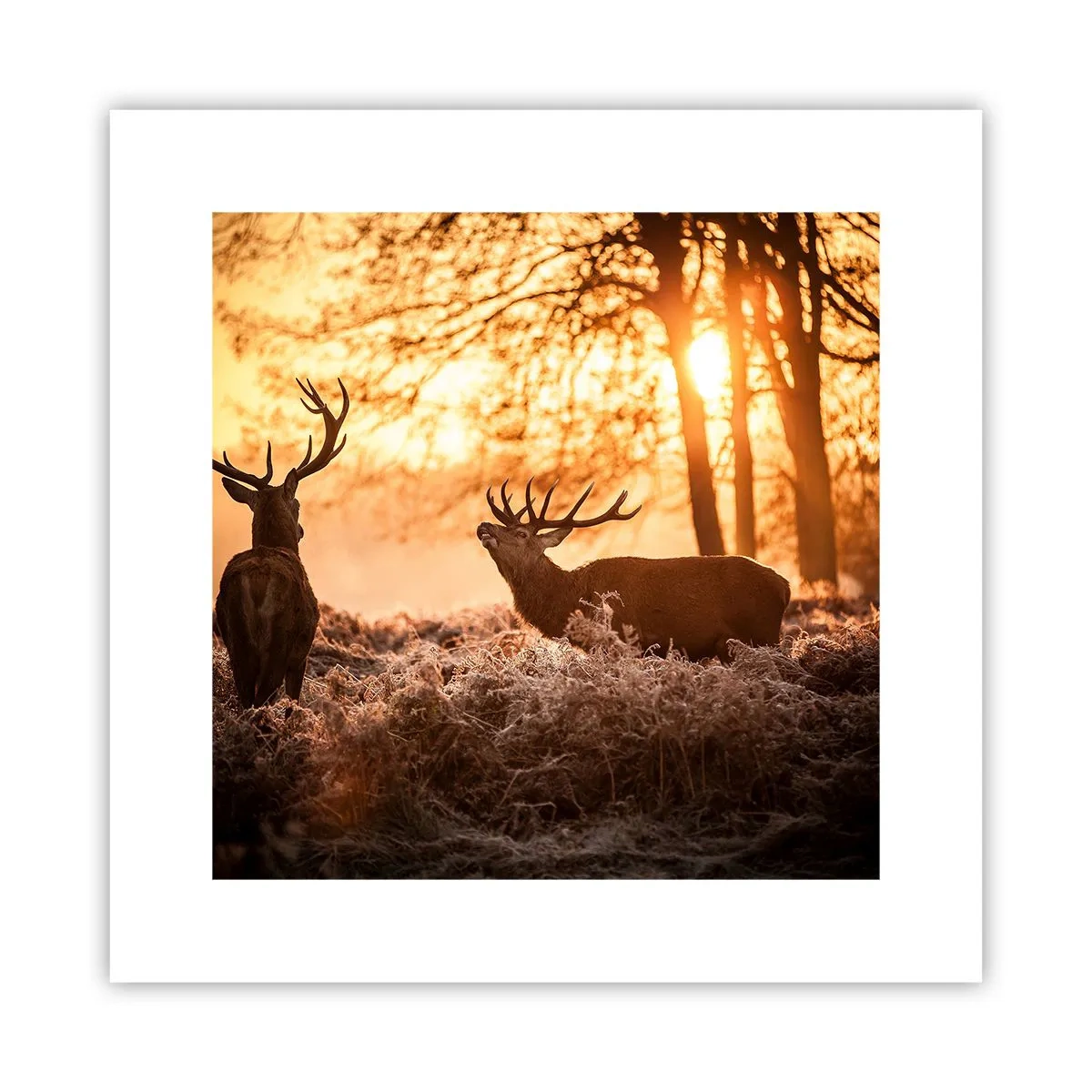 Plakát - Sen myslivce - 30x30 cm