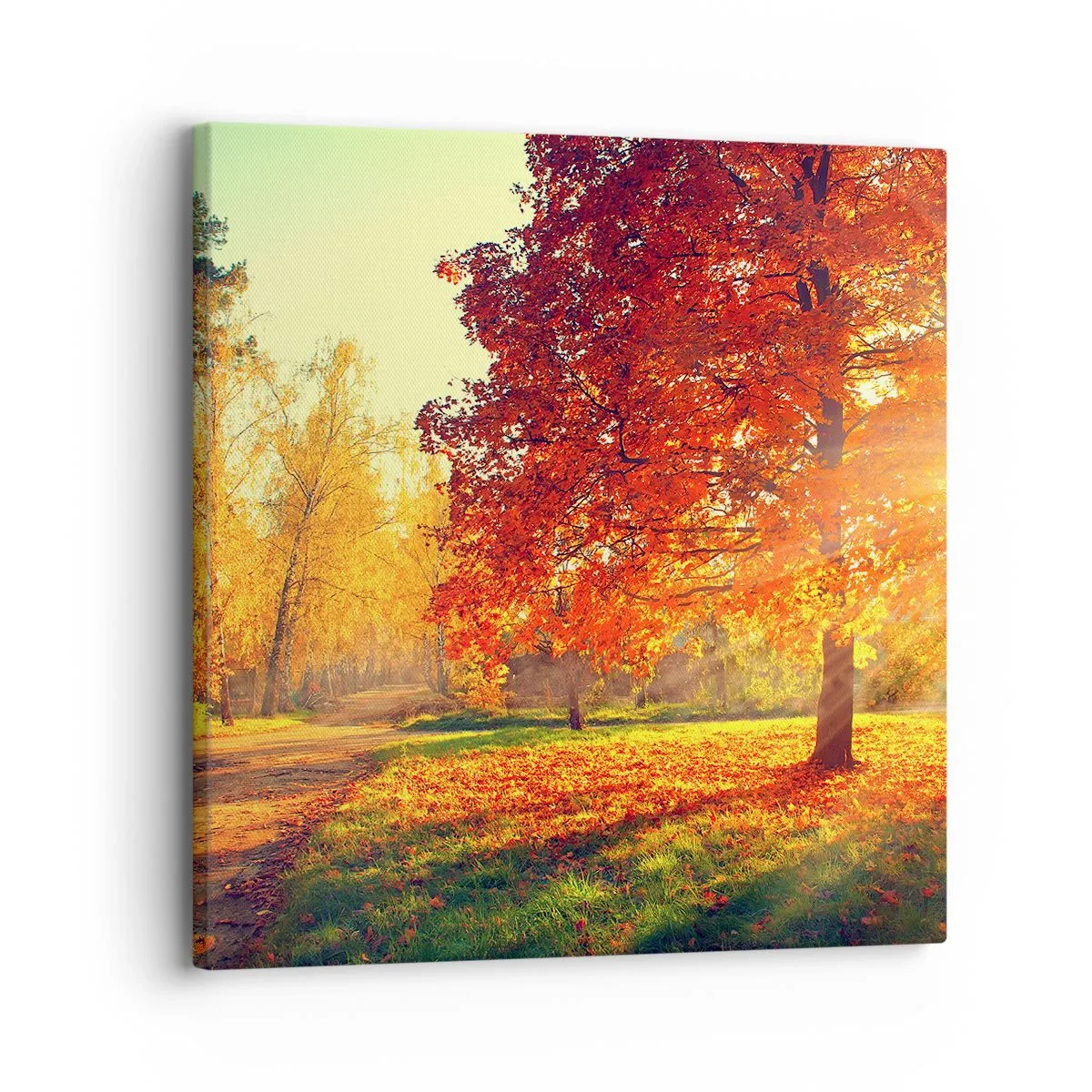 Obraz na plátně - Rudé je krásné - 30x30 cm