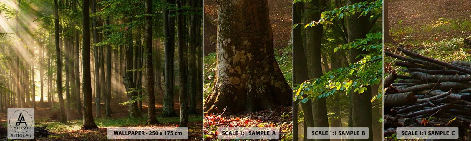 Fototapeta Vzorek Standard Eco - Rozzářený v jarním ránu - Krajina, Les, Park - 100x30 cm