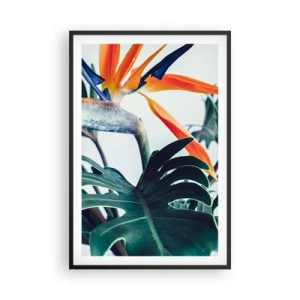 Plakát v černém rámu - Ptákeř - 61x91 cm