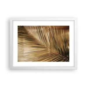 Plakát v bílém rámu - Přírodní kolonáda - 40x30 cm