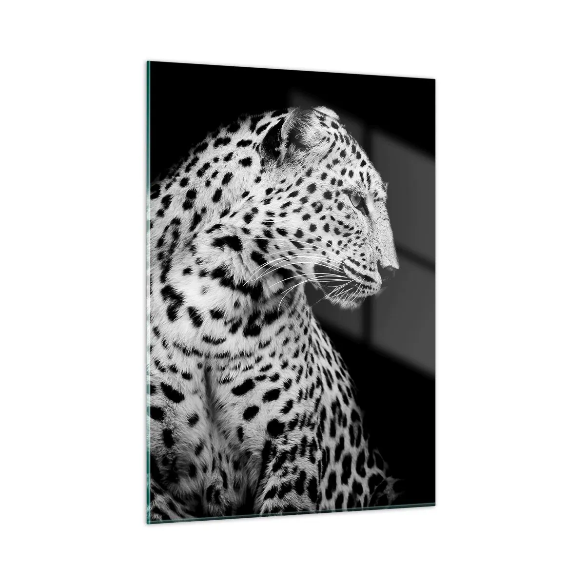 Obraz na skle - Pravý profil perfektní! - 50x70 cm
