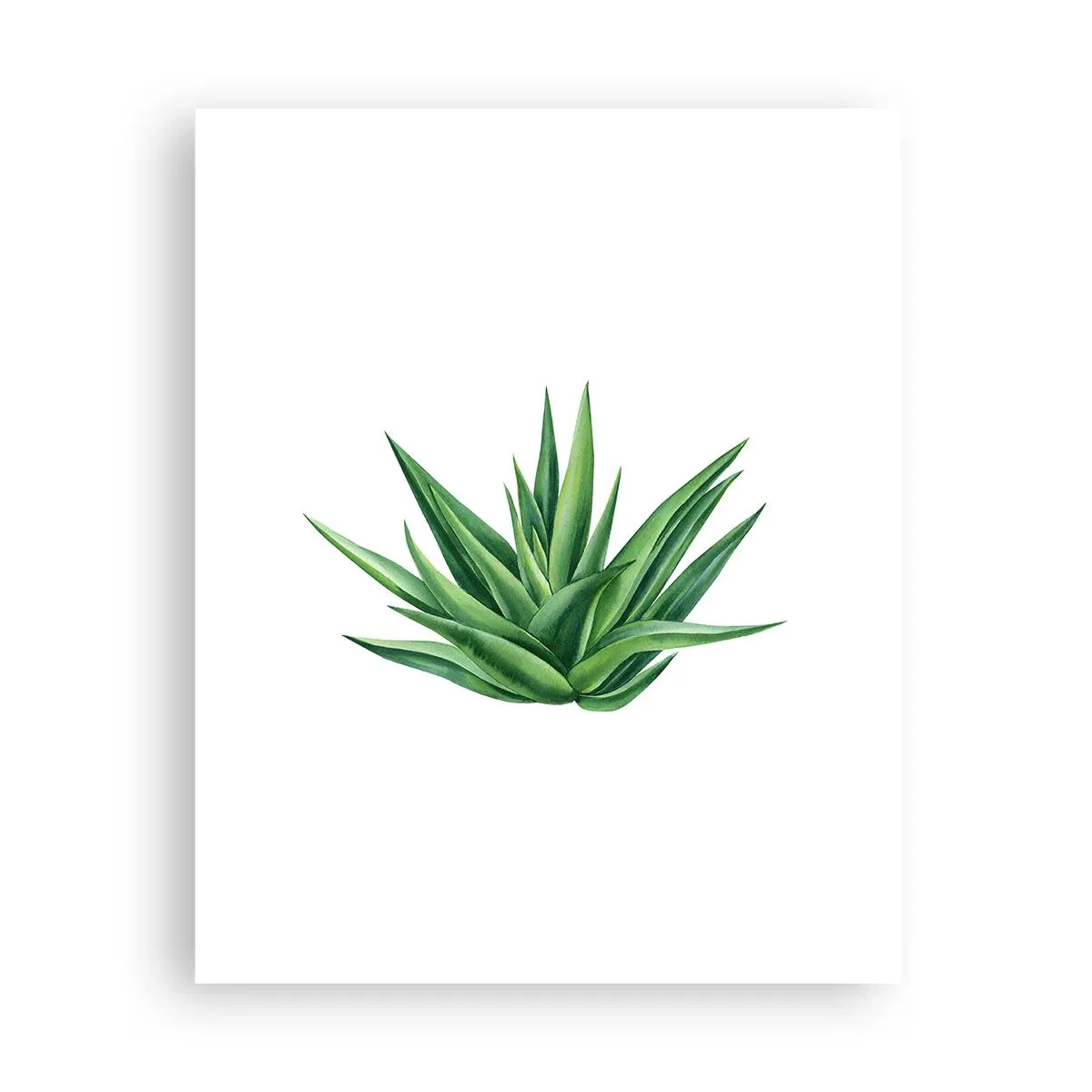 Plakát - Zelená – síla – život - 40x50 cm