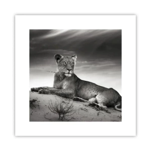 Plakát - Odpočinek královny pouště - 30x30 cm