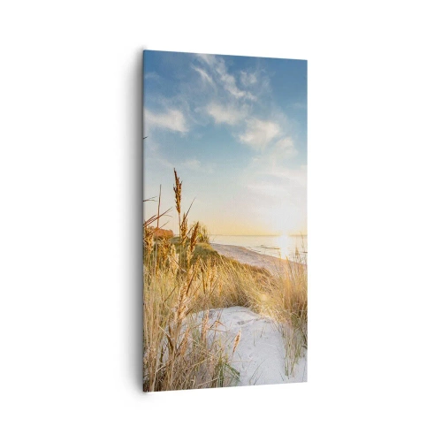 Obraz na plátně - Severní pláž - 65x120 cm