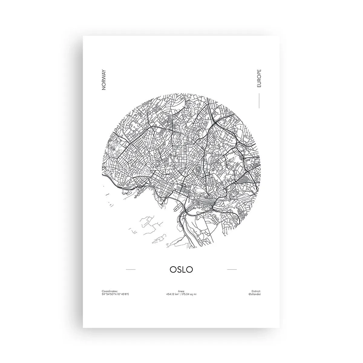 Plakát - Anatomie Osla - 61x91 cm