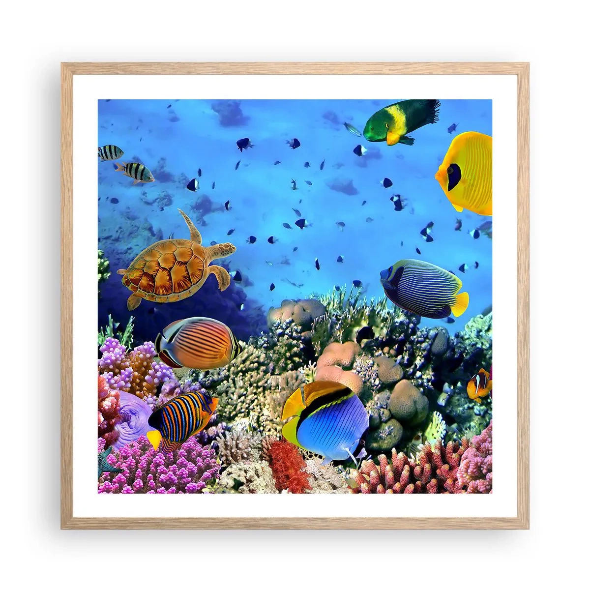 Plakát v rámu světlý dub - Co víme o životě… - 60x60 cm