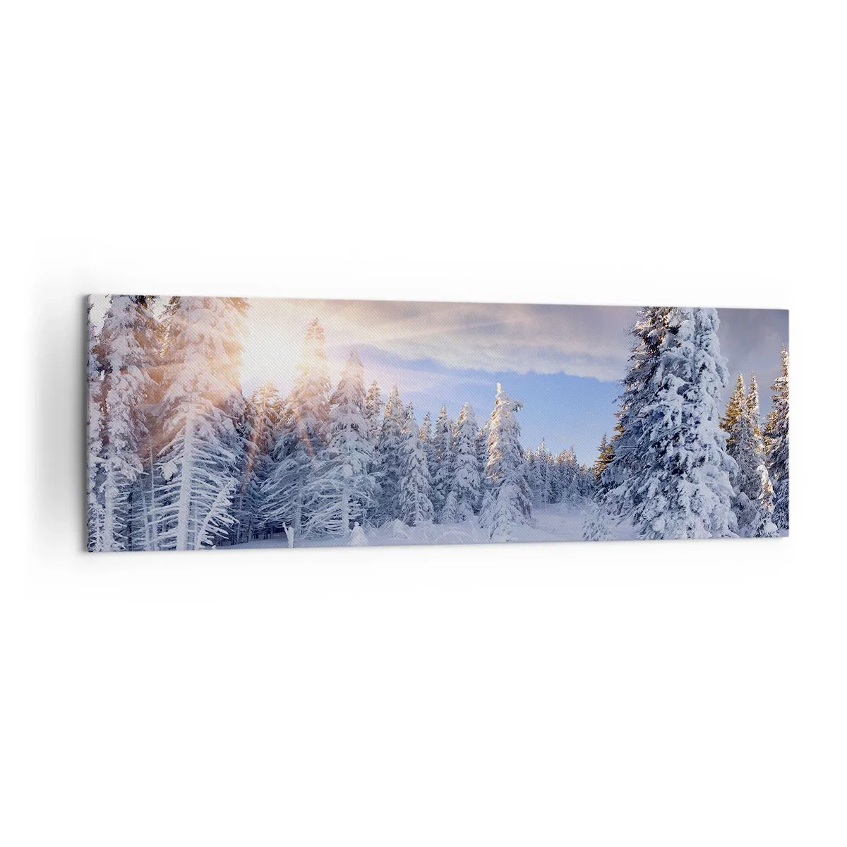 Obraz na plátně - Sněžné představení přírody - 160x50 cm
