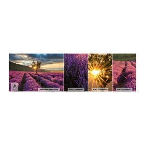 Vzor Fototapety Samolepicí Deluxe Sticker - Aroma v barvě lila - Krajina, Levandule, Provence - 100x30 cm