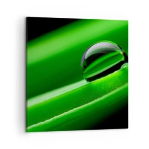 Obraz na plátně - Život z blízka - 50x50 cm