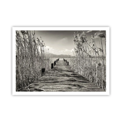 Plakát - V ústraní travin - 100x70 cm