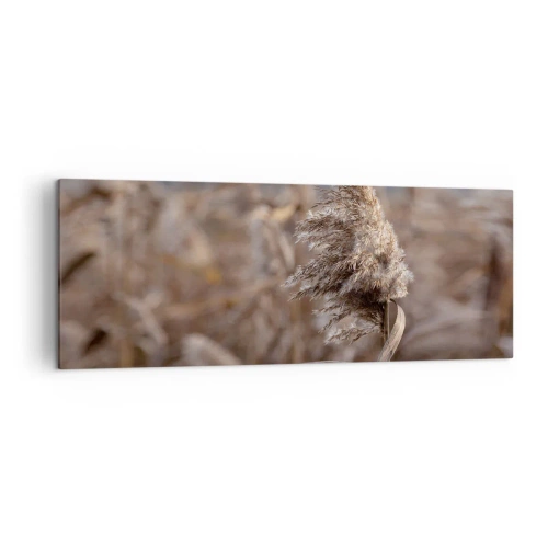Obraz na plátně - Čas odletět s větrem - 140x50 cm