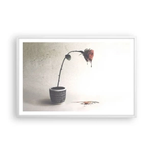 Plakát v bílém rámu - Rosa dolorosa - 91x61 cm