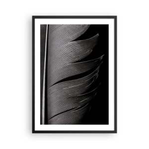Plakát v černém rámu - Minimalistické pojetí pírka v černé a bílé barvě - 50x70cm - Peří – nádherná konstrukce - Moderní nástěnná dekorace do obývacího pokoje a ložnice ARTTOR