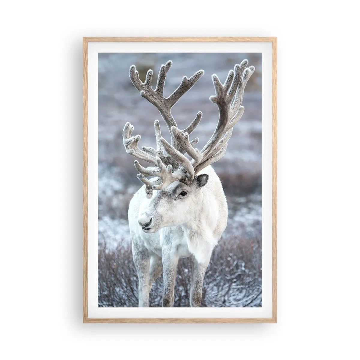 Plakát v rámu světlý dub - Sluneční portrét - 61x91 cm