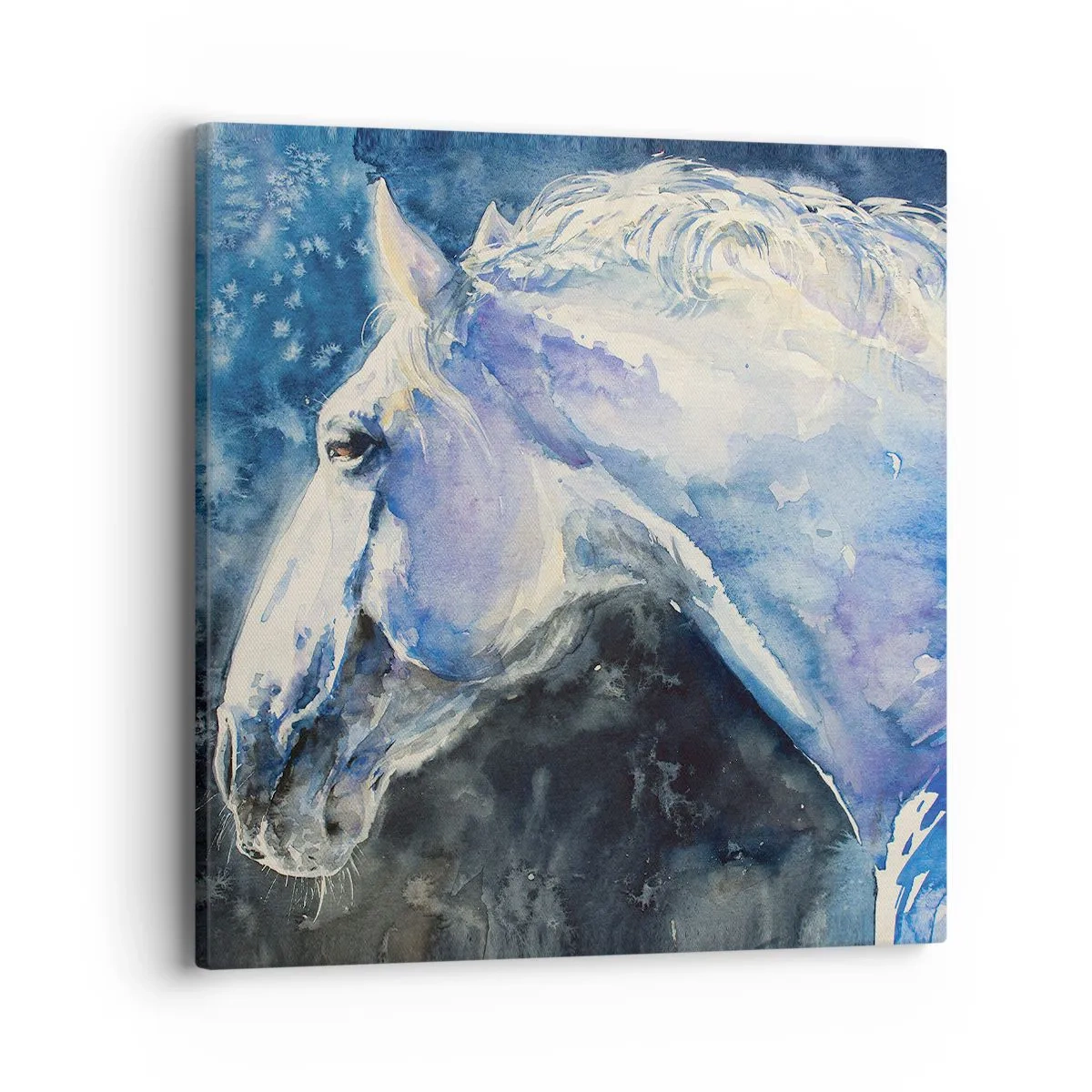 Obraz na plátně - Portrét v modré záři - 40x40 cm