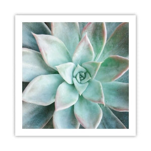 Plakát - Srdce pouště - 60x60 cm