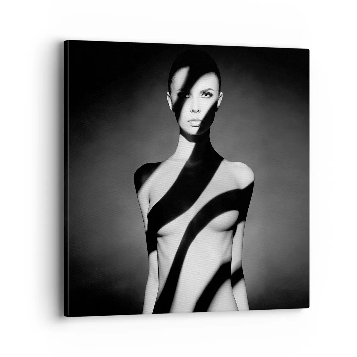 Obraz na plátně - V záři i ve stínu - 40x40 cm