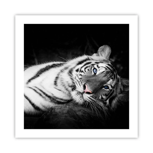 Plakát - Divočina a klid - 50x50 cm